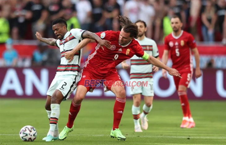 Nhận định đá bóng Đức với Hungary 