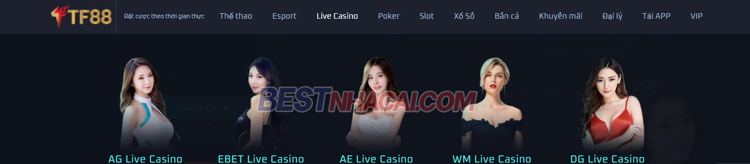 casino trực tuyến tf88