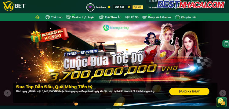 nhà cái v9bet