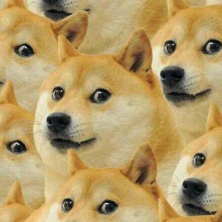 Sổ mơ lô đề con vật đầy đủ, chính xác mới nhất